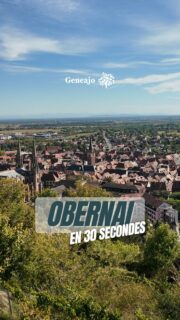 On continue notre présentation des villes alsaciennes en moins de 30 secondes, ou presque !😊
🗳 Vous aviez voté ! Cette fois-ci c'est Obernai que je te présente ! 🔴⚪️
📜📚1. Blason de Obernai @cannartiste / 2. Général Becker, Wikimedia Commons
#histoire #patrimoine #culture #alsace #france #obernai #presentation #ville #visitalsace