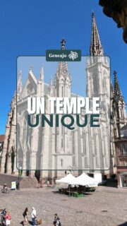 Il est beau et grand, c'est d'ailleurs le plus haut du culte, je te présente le temple protestant Saint-Étienne de Mulhouse ! 💒✨️🔴⚪️

ℹ️ Ce n'est qu'en 1860 que les catholiques auront droit à leur lieu de culte situé au 14 rue de la Sinne !

📸 Temple Saint-Étienne, Archives de Mulhouse (9Fi2015)

#histoire #patrimoine #culture #alsace #france #mulhouse #temple #protestant #religion