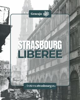 Il y a 81 ans, les troupes de la 2ème Division blindée entraient dans Strasbourg et libéraient la ville. ✨️

📸Je te propose un retour en photos sur ce moment qui permettra à Strasbourg de redevenir française, définitivement. 🇫🇷🔴⚪️

#histoire #liberation #strasbourg #france #archive #armeefrancaise #23novembre