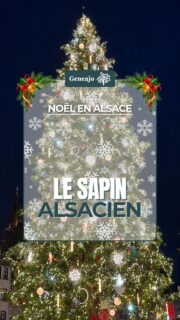 Il est alsacien, il est une source de conflit entre deux grandes villes et il trône sur les plus belles places du monde entier ! 🔴⚪️✨️
➡️ Dans cette vidéo je te raconte l'histoire du sapin de Noël !🎄🎄
Source : Écomusée d'Alsace
📸 AVEC 1FI01
#noel #alsace #strasbourg #selestat #sapin #culture #patrimoine #archive #coutume