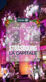 Oui, c’est bien elle, LA capitale de Noël, Strasbourg ma belle !
Pas d'histoire ce soir, juste un coup de cœur pour ma ville ! 🔴⚪️✨️🎄🎅
#strasbourg #strasbourgcapitaledenoel #visitstrasbourg #noel #christmas #alsace