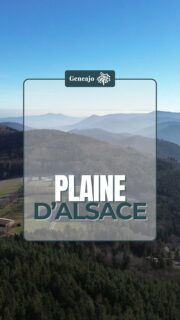 Pour cette nouvelle année, et au-delà de l'histoire et du patrimoine alsacien, je vais te parler aussi de géographie ! ⛰️🤓
➡️ Et on commence bien évidemment par la formation de la plaine d'Alsace ! 🔴⚪️
✨️ Dis moi en commentaire si tu aimes ce nouveau format ! 👇
ℹ️ En 2023, l'Alsace comptait 1 934 548 habitants sur une superficie de 8 280,17 km2 soit une densité de 234 hab./km2 .
Source : Département de Géographie
#alsace #histoire #geo #vosges #culture