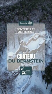 On poursuit notre découverte des châteaux alsaciens ! Cette fois-ci direction Dambach-la-Ville pour monter à l'assaut du Bernstein ! 🏰🔴⚪️❄️
⚠️ La visite de sécurité du 25 novembre 2025 a montré une aggravation du gonflement du parement extérieur du donjon, sur sa face orientale. Constaté depuis quelques années, ce gonflement d’environ 15 cm, dû notamment aux défauts d’étanchéité de la plateforme sommitale bétonnée du donjon ainsi que des arases, est devenu préoccupant pour la sécurité des visiteurs, pouvant occasionner des chutes de blocs dans le Palais. Il a donc été décidé d’interdire temporairement l’accès au Palais et au donjon du château, le temps de mettre en œuvre les mesures de remise en état qui s’imposent.
Sources : Les amis du Bernstein
#alsace #histoire #patrimoine #chateau #drone