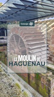Il trône, seul, Cours de la Décapole à Haguenau, mais quelle est son histoire ? Dans cette vidéo, je te présente le moulin de Dischlach ! 💧💦🔴⚪️
Sources : visithaguenau.alsace / DNA
📜📚 1. Haguenau, ville forte. Gallica / 2. Carte postale Moulin de Dislach, Wikimedia Commons / 3. Pont détruit au dessus de la voix ferroviaire, DNA / 4. Vieux pont sur la Moder, Geneanet
#alsace #haguenau #moulin #patrimoine #histoire