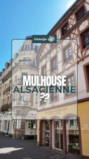L'une des particularité de Mulhouse, c'est qu'il y a très peu de maisons à colombage, et pourtant elle est bien alsacienne ! 🔴⚪️
➡️ Je t'explique tout dans cette vidéo ! 😊
🖼 "The Great Fire of London", Wikimédia Commons
🎶 Vlogs Trending Background Music par SigmaMusicArt, Pixabay
#alsace #mulhouse #patrimoine #culture #maison