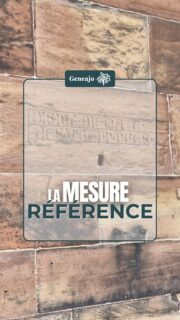 Au Moyen Âge, toutes les grandes villes étaient confrontées à de terribles incendies. Certaines ont pris des mesures préventives, notamment Strasbourg qui limitera la taille des encorbellements des maisons ! 🔥🏘
➡️ Tu sauras tout dans cette vidéo ! 😊
Sources : "La Cathédrale de Strasbourg", Jean-Paul Lingelser / Œuvre Notre Dame
🖼"L’incendie dans la nuit du 23 au 24 août 1870", dessin de J. Broutta, lithographie de J. Crettez, Genève, 1870.
#alsace #strasbourg #histoire #patrimoine #maison