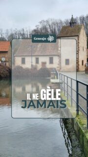 Même par -12, il ne gèle pas ! C'est le p'tit lac de Kuttolsheim dans le Kochersberg ! Je te raconte son histoire dans cette vidéo ! 🥶🎣💦
Source : site web ville de Kuttolsheim
🖼 Agentoratum, ©Happy Strasbourg
🎶 Epic Cinematic Background Music, SigmaMusicArt, pixabay
#alsace #patrimoine #kochersberg #lac