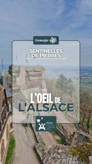 On continu notre série sur les châteaux forts alsaciens ! Cette fois-ci on te présente l'oeil de l'Alsace, le château du Haut-Barr ! 🏰🔴⚪️👁
ℹ️ C'est durant le concile de Constance en 1415, que le château hérita du surnom d'œil de l'Alsace (Occulus Alsatiae).
✅️ Une association Castum Borra, s’est créée en 2012 pour redonner une dynamique au lieu et fédérer les compétences.
Source : Châteaux forts d'Alsace
📸 "Château du Haut Barr", juillet 1909, AVES, Fond Blumer, 29 Z 697
🎶Epic Adventure Background Music, by MFCC, Pixabay
#alsace #chateau #patrimoine #histoire