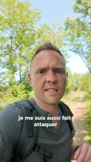J'ai décidé d'élargir un peu plus notre découverte de l’histoire, en en parlant un peu plus globalement ! 🌍⚔️🪖😉
#histoire #patrimoine #culture #france
