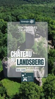 On continu notre série sur les châteaux forts alsaciens ! Cette fois-ci on te présente le Landsberg sur les hauteurs d'Heiligenstein ! Et son entrée a plusieurs particularités !🏰🔴⚪️👁
Sources : Les amis du Landsberg
🙏 Grand merci à l'asso "Les amis du Landsberg" pour leur accueil lors de mes différents tournages ! Des gens passionnés et passionnants ! 😊✨️
🙏 Merci également à @burginzepocket pour avoir fait ce travail incroyable de reconstitution 3D du château !
‼️ Ma correctrice me signale que l'on dit des châteaux familiaux, et non familiales... Et j'ai la flemme de refaire la voix-off... Déso... 😊
🎶 Cinematic Inspirational Epic Music, by SigmaMusicArt, Pixabay
#alsace #patrimoine #chateau #histoire #culture