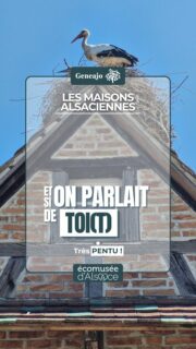 Aujourd'hui on lève les yeux, car on va parler un peu de toi(t) ! 👀🙄

➡️ Dans cette vidéo, on part à la découverte des toitures alsaciennes : leurs formes, leurs matériaux, leurs pentes si particulières et les secrets qu'elles racontent sur l'histoire et le climat de notre région. 🔴⚪️🏠

⬆️Prépare-toi... à prendre de la hauteur ! 😉

🎶 Cinematic Inspirational Epic Music, by SigmaMusicArt, Pixabay

#alsace #maison #toit #patrimoine #culture