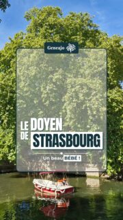 Je te présente le doyen de Strasbourg ! 360 ans l'an prochain ! 🌳🔴⚪️

➡️ À deux pas des Ponts Couverts, sur le quai de la Bruche, se trouve l’un des arbres les plus anciens et les plus remarquables de Strasbourg. Aujourd’hui, son tronc de plusieurs mètres de circonférence témoigne encore de son incroyable longévité. 🤩🦳

🌳 Un arbre vieux de plusieurs siècles… au cœur de la Petite France.

📷 Quai de la Bruche, Gallica
🎶 Vlogs Trending Background Music, by SigmaMusicArt, Pixabay 

#strasbourg #nature #arbre #ancien #culture