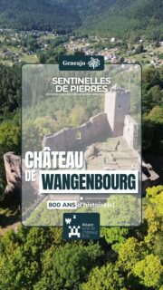 On continu notre série sur les châteaux forts alsaciens ! Cette fois-ci on te présente celui de Wangenbourg dans la vallée de la Mossig ! 🏰🔴⚪️👁

➡️ Perché au cœur des Vosges, le château de Wangenbourg est mentionné pour la première fois en 1295. Érigé par les sires de Wangen sur les terres de l’abbaye d’Andlau, il va connaître plusieurs siècles de transformations, de rivalités… et de conflits. 🛡⚔️🤺🌳

Sources : OT Mossig / Châteaux forts d'Alsace

🎶 Cinematic Inspirational Epic Music, by SigmaMusicArt, Pixabay

#alsace #chateau #patrimoine #histoire #wangenbourg