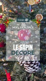 Maintenant on y met des boules, des guirlandes, et on le couronne d'une étoile ! ✨️🎄
Mais avant, le sapin était décoré comment ? La réponse dans cette vidéo ! 😊
🙏 Merci à la société Hoffmann à Geudertheim ainsi qu'au Chalet Gourmand qui se trouvent tous les deux sur la marché de Noël place Broglie à Strasbourg.
📜 "Scène de veillée de Noël", Strasbourg, Cabinet des Estampes et des Dessins, M. Bertola/Musées de la Ville de Strasbourg
Source : Écomusée d'Alsace
#noel #decoration #sapin #alsace #tradition #culture #histoire