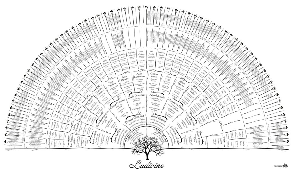 Arbre généalogique. Recherches généalogiques.