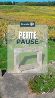 Tu passes devant sans t'en rendre compte, et je suis sûr que tu ne t'y es jamais posé ! Je te présente des bancs typiquement alsaciens ! 🪑🥱

La commune de Stutzheim-Offenheim a réaliser une copie de banc-reposoir de l’Impératrice Eugénie avec une sculpture représentant une Alsacienne qui y est assise. Réalisé en 2013 il rend hommage à l'acteur et l'auteur Germain MULLER. 🔴⚪️

Sources : napoleon.org / alsace-promenade.com

#histoire #alsace #france #culture #patrimoine #banc #poser #repos #napoleon #basrhin #hautrhin