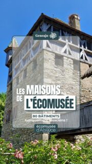 À l'Écomusée d'Alsace, il y a 80 bâtiments, tous représentatifs de l'architecture alsacienne ! Allez, je te fais visiter ! 🏡🔴⚪️🔍

ℹ️ Tous ces bâtiments ont été démontés dans leur village d'origine et remontés au musée, pour le plus grand bonheur des visiteurs ! 🤩

🎶 Epic Cinematic Background Music, by SigmaMusicArt, Pixabay. 

#alsace #maison #patrimoine #musee