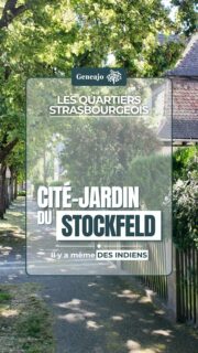On continue notre découverte des quartiers strasbourgeois ! Cette fois-ci, je te présente une cité jardin dans un quartier ! C'est le Stockfeld ! 🔴⚪️🏘🌳🌷

➡️ Petites erreurs de langage dans cette vidéo ! 😊
1. Je parle au passé des "Gassele" alors qu'ils sont toujours présent !
2. Je prononce Stockfeler au lieu de Stockfelder ! 🤔

Sources : Eurométropole de Strasbourg

📜📷 1. Plan du Stockfeld, AVES, 132 MW 204 / 2. "Rue du Stockfeld", 1910, AVES, 131 MW 1454 / 3. "Rue du Stockfeld", 1910, AVES, 131 MW 1457 / 4. "Rue de la Breitlach", 1910, AVES, 131 MW 1459 / 5. Annonce publiée dans le Journal d'Alsace en avril 1891, Pokaa / 6. "Rue Lichtenberg", 1910, AVES, 131 MW 1455 / 7. "Pont du Corbeau", profil Facebook Krutenau d'hier.
🎶 Epic Cinematic Background Music, by SigmaMusicArt, Pixabay

#alsace #strasbourg #quartier #histoire #culture