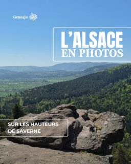 [𝙇'𝘼𝙡𝙨𝙖𝙘𝙚 𝙚𝙣 𝙥𝙝𝙤𝙩𝙤𝙨] : Parce que chaque lieu, qu’il soit architectural ou naturel, a une histoire à raconter, j’ai décidé de te la résumer avec quelques photos ! 🔴⚪️📸

➡️ On commence par les hauteurs de Saverne ! Le Haut-Barr, le grand Geroldseck, le rocher du Brotsch etc... ⛪️👀🏞

ℹ️ Si tu es fan(e) de rando, je t'invite à consulter ton appli préférée, il y a forcément une balade qui passe par tous ces sites ! 🥾🤩

#alsace #patrimoine #nature #photo #histoire