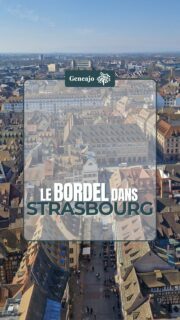 Un coup d'état à Strasbourg ?! Bah ouais, et c'est de la faute de Louis ! Trop d'ambitions ce jeune homme ! 🇨🇵⚔️
➡️ Je te raconte tout dans cette vidéo ! 🔴⚪️
Sources : Kuriocity / Napoléon III, par Louis Girard, édition Fayard
📜📚 1. "Hortense de Beauharnais avec ses enfants", 1811, Wikimédia Commons / 2. "Colonel Vaudray", par Paul Lacroix, Wikimédia Commons / 3. "Tentative de soulèvement de Louis-Napoléon Bonaparte à Strasbourg en 1836 à la caserne Finkmatt", BNU / 4. "Louis-Napoléon Bonaparte à Boulogne", Wikimédia Commons/ 5. "Serment de Louis Napoléon", Gallica, BNF / 6. "Napoléon III", Wikimédia Commons
🎶 Epic Adventure Background Music, by MFCC, Pixabay
#histoire #napoleon #strasbourg #culture #republique