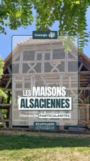 La maison à colombages ? Démontable et remontable ! Faisons un petit point sur ce bâtiment emblématique, ses particularités et son histoire… un patrimoine typiquement alsacien… enfin, presque ! 🔴⚪️🏡

🖼 "Seïsme de Bâle de 1356" par Karl Jauslin, Wikimedia Commons
🎶 Vlogs Trending Background Music, by SigmaMusicArt, Pixabay. 

#alsace #maison #patrimoine #culture