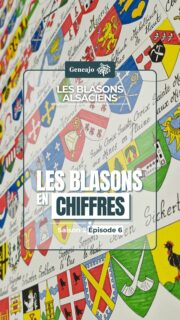 Dernier épisode de notre série ! Cette fois-ci, on te présente les blasons en chiffres ! 🔴⚪️🤩

ℹ️ Ces blasons ont tous été dessiné par @anne_grtz_176 . Au total 377 blasons du Haut-Rhin et 527 du Bas-Rhin sont passés sous les crayons de Anne, à raison de 15 à 20 minutes par blason ! Sacré boulot !

Source : Armorial des communes du Haut-Rhin, Archives départementales

🎶 Vlogs Trending Background Music, by SigmaMusicArt, Pixabay

#alsace #commune #culture #patrimoine #arme