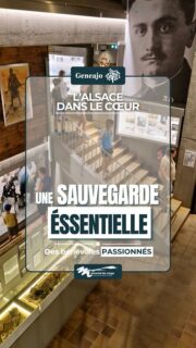 Derrière le Mémorial du Linge, il y a des femmes et des hommes passionnés qui consacrent leur temps à faire vivre ce lieu de mémoire. 🪖💥🕊

➡️ Entretien des tranchées, préservation des vestiges, accueil des visiteurs, transmission de l'histoire… Grâce à leur engagement, des milliers de personnes peuvent chaque année découvrir ce site exceptionnel et mieux comprendre les combats qui s'y sont déroulés en 1915.

🔝 Leur travail est souvent discret, mais il est indispensable. Sans eux, une partie de notre patrimoine et de notre mémoire collective risquerait de disparaître.

👏 Un immense merci à tous les bénévoles du Mémorial du Linge pour leur passion et leur dévouement.

📸 Crédits photos : ©Mémorial du Linge
🎶 Inspiring Inspirational Background Music, by SigmaMusicArt, Pixabay 

#alsace #tourisme #ww1 #musee #hommage